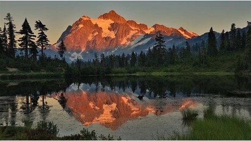 Washington State Travel Agent Expert 