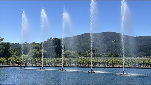 Napa/ Sonoma's Best Harvest Parties