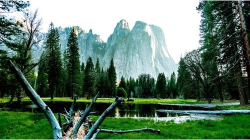 Yosemite National Park Travel Advisor Expert