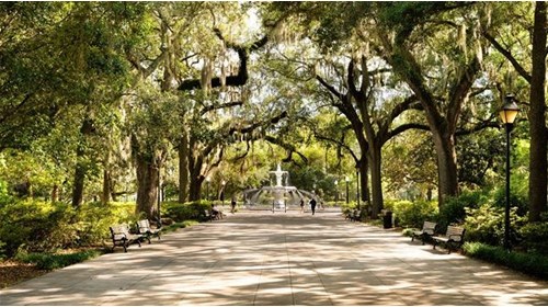 Savannah Travel Specialist