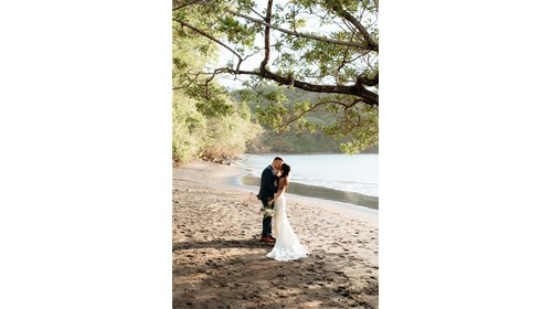My Destination Weddings