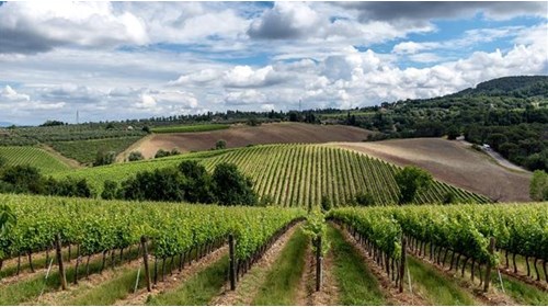 Tuscany Travel Specialist 