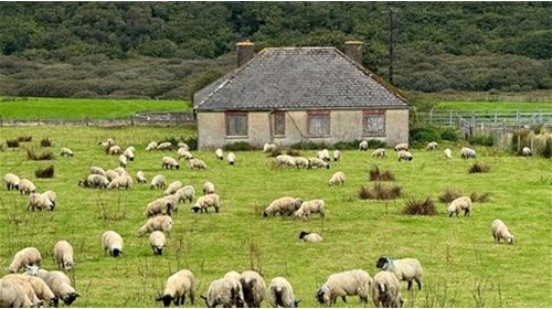 Ireland Travel Agent Specialist 