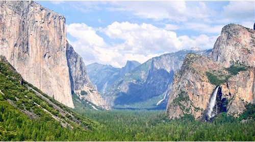 Vibrant landscape of Yosemite Valley!