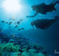 Scuba - always included at Sandals and Beaches