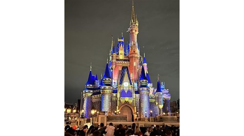 Family & Luxury Vacation Specialist