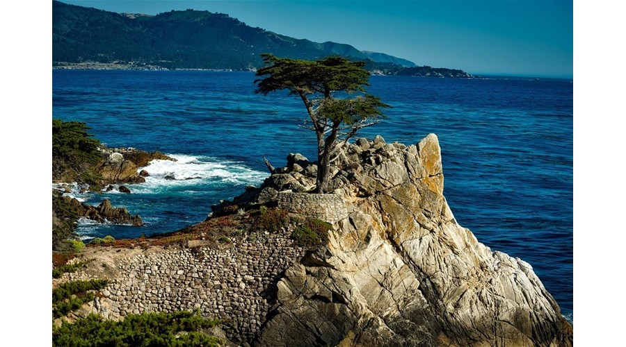 Monterey Bay in August