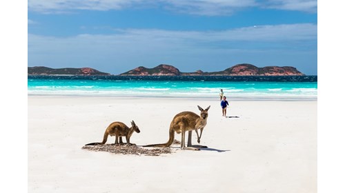 Adelaide Kangaroo Island & South Australia Expert 