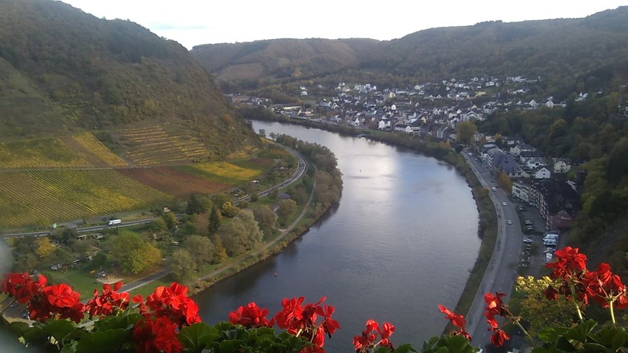 river cruise down the Rhine