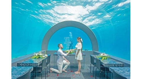 Propose under The Sea! In The Maldives