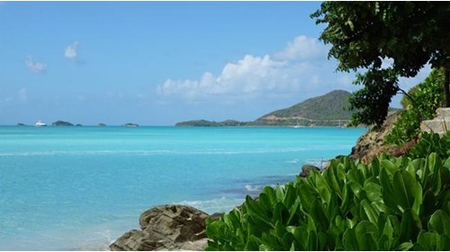 Antigua and Barbuda Travel Agent Professional