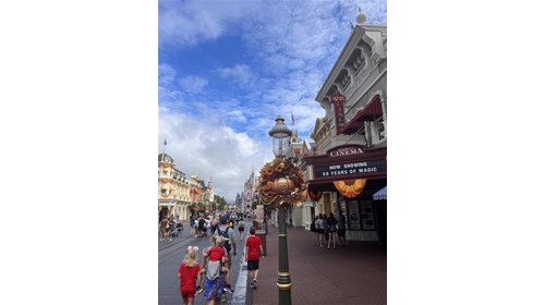 Disney's Magic Kingdom during the fall!