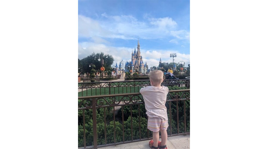 WDW Family Vacation - Toddler's First Visit!