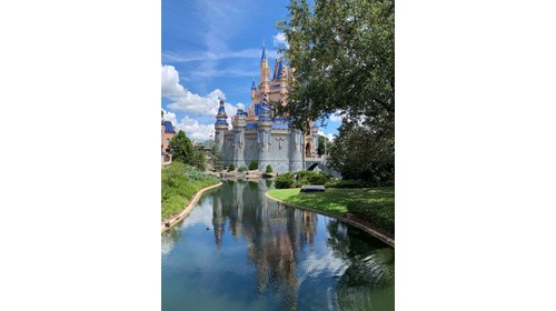 Cinderella's Castle - Always Beautiful 