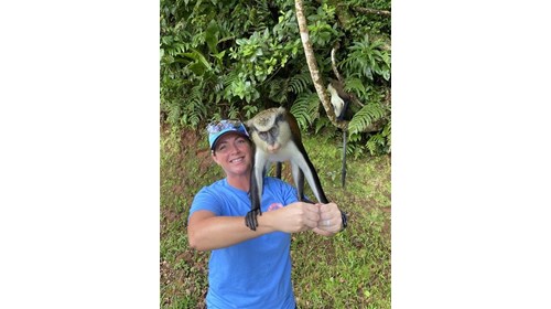 Mona Monkey - Grand Etang National Park - Grenada