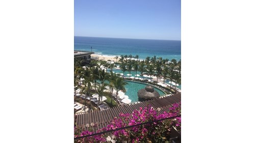 Los Cabos Baby!!