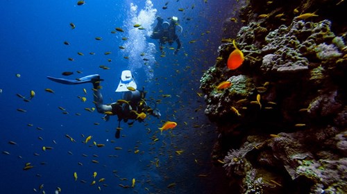 Scuba Diving Travel Agent Expert 