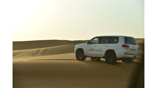 Sand Dunes