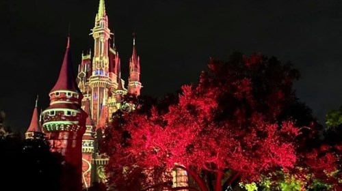 Cinderella Castle - Magic Kingdom