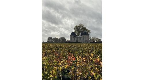 Vineyards in the fall in the Bordeaux region