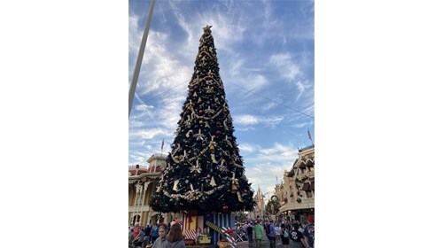Christmas Tree at Magic Kingdom 