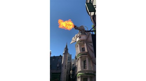 Dragon In Harry Potter Land