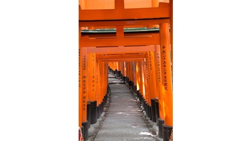 Discover Kyoto - Torii Gates, Fushimi Inari Shrine