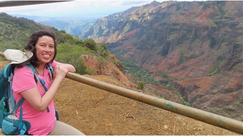 Wow! Waimea Canyon.