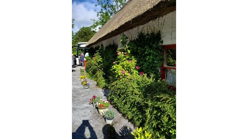 Frances and Finton's Cottage