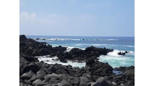 a beautiful view of the ocean and lava rock