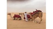 Desert Safari/Camel Ride in Dubai - March 2017