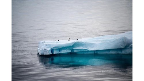 Antarctica Iceberg Ice