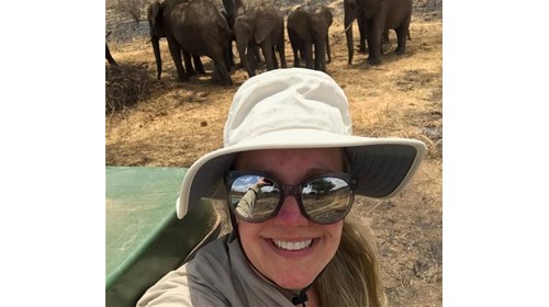Elephant viewing in Tanzania