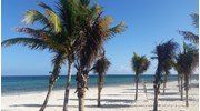 The breathtaking beach at Royalton Riviera Cancun