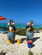 Chip n Dale at Castaway Cay