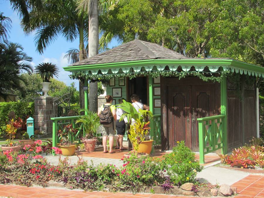 Beautiful Nevis Botanical gardens