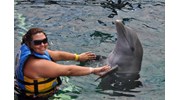 Cozumel- Dolphin Encounter 