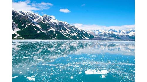 Luxury Alaska Cruise & Tour Travel Specialist