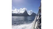 Diving the Pitons in St. Lucia
