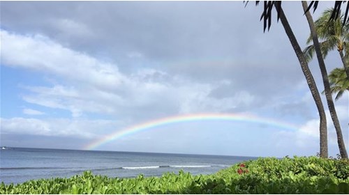 Never Ending Rainbows over Maui