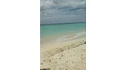 The Caribbean is calling!