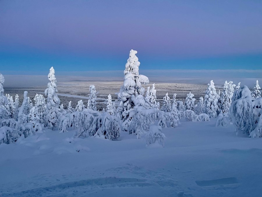 View of Lapland midday during polar night