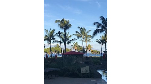 View from the pool at my resort in Maui