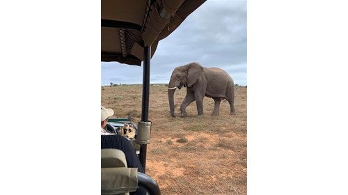 Africa Adventure of Golf, Wine and Safari!