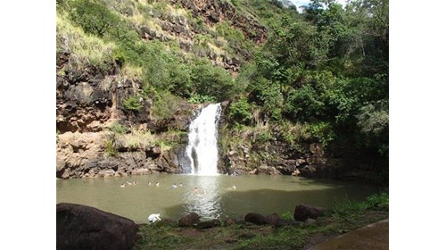 Waterfall on Oahu