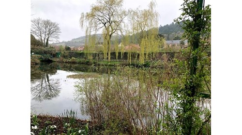 Seine River - Monet Garden
