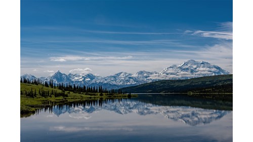 Peaceful views of Denali National Park