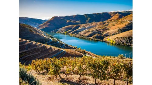 The Douro River Valley in Portugal