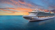 Cruises and Customized Travel