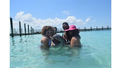 Nassau Bahamas Dolphin Excursion